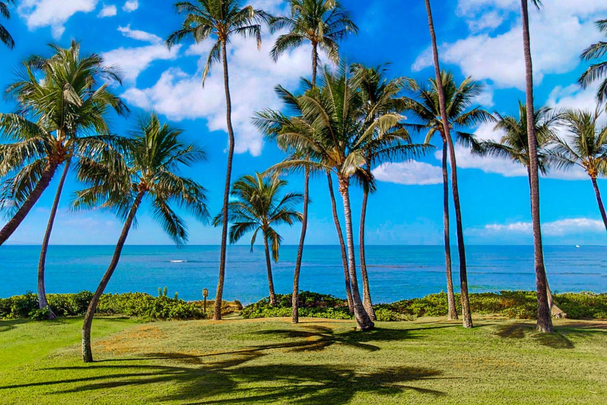 Hale Kai O Kihei Villa Rom bilde
